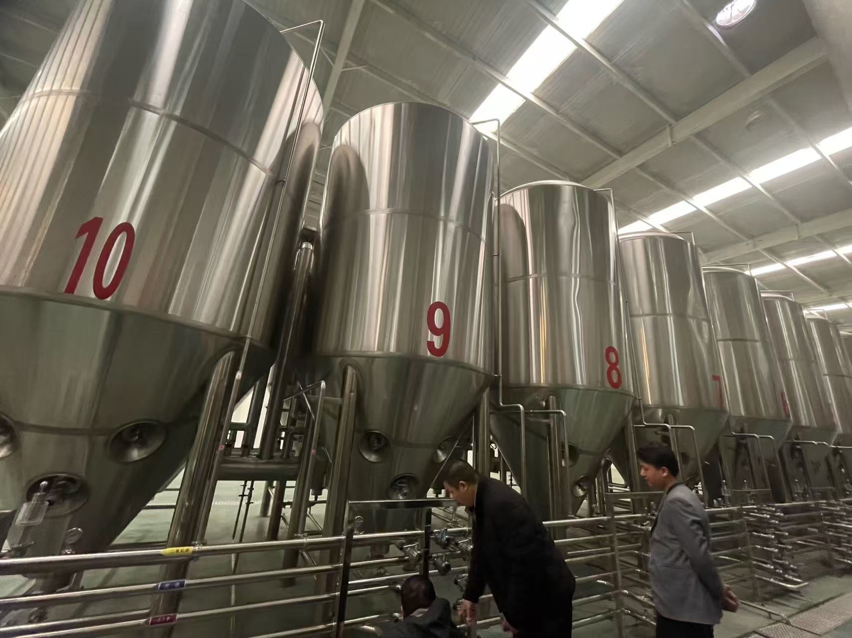 迭部精酿啤酒设备厂—平面布置、设备设计、制造、调试、培训等一条龙服务